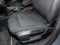 BMW X2 sDrive18i Advantage Navi RFK LED PA Lenkradhzg Grau - thumbnail 19