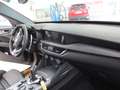 Alfa Romeo Stelvio Veloce Q4 NAVI SHZ LETDER AT Grau - thumbnail 10