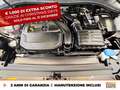 Volkswagen Tiguan 1.5 tsi life 130cv Bianco - thumbnail 12