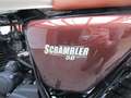 Mash Fifty Scrambler 50    Neufahrzeug Braun - thumbnail 13