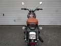 Mash Fifty Scrambler 50    Neufahrzeug Brown - thumbnail 6