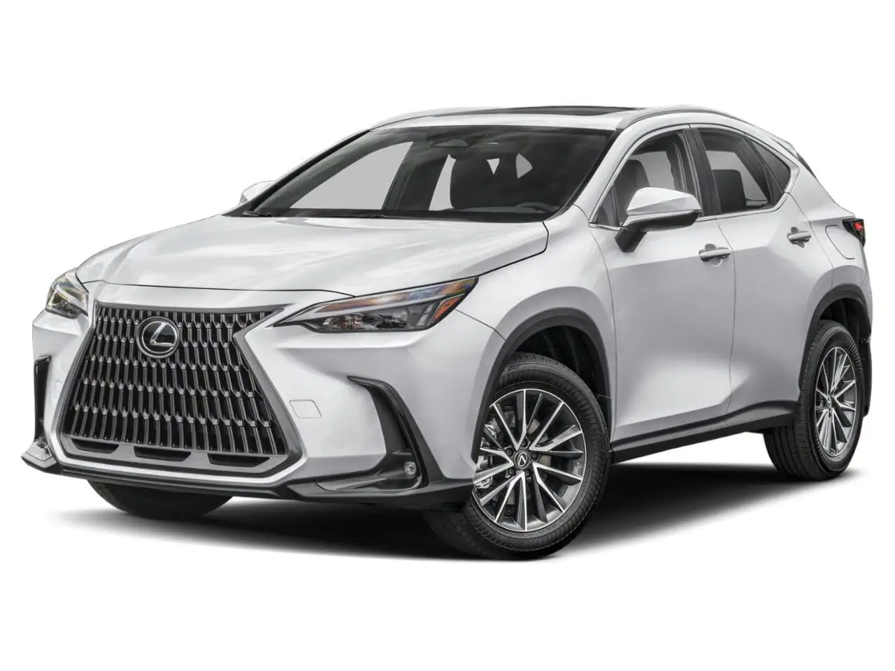 2026 Lexus NX photo 2026 Lexus NX