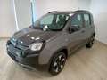 Fiat Panda 1.0 FireFly S&S Hybrid Grigio - thumbnail 3