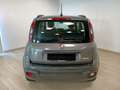Fiat Panda 1.0 FireFly S&S Hybrid Grigio - thumbnail 5