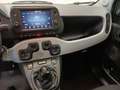 Fiat Panda 1.0 FireFly S&S Hybrid Grigio - thumbnail 11