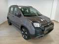 Fiat Panda 1.0 FireFly S&S Hybrid Grigio - thumbnail 1