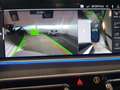 BMW X6 xDrive30d 48V Msport TETTO CERCHI DA 21 Blu/Azzurro - thumbnail 10