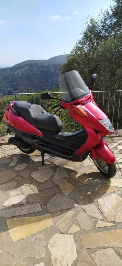 Honda FES 250 Rot - 1