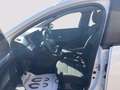 Dacia Sandero Stepway 1.0 tce Comfort Eco-g 100cv Bianco - thumbnail 9