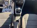 Dacia Sandero Stepway 1.0 tce Comfort Eco-g 100cv Bianco - thumbnail 13