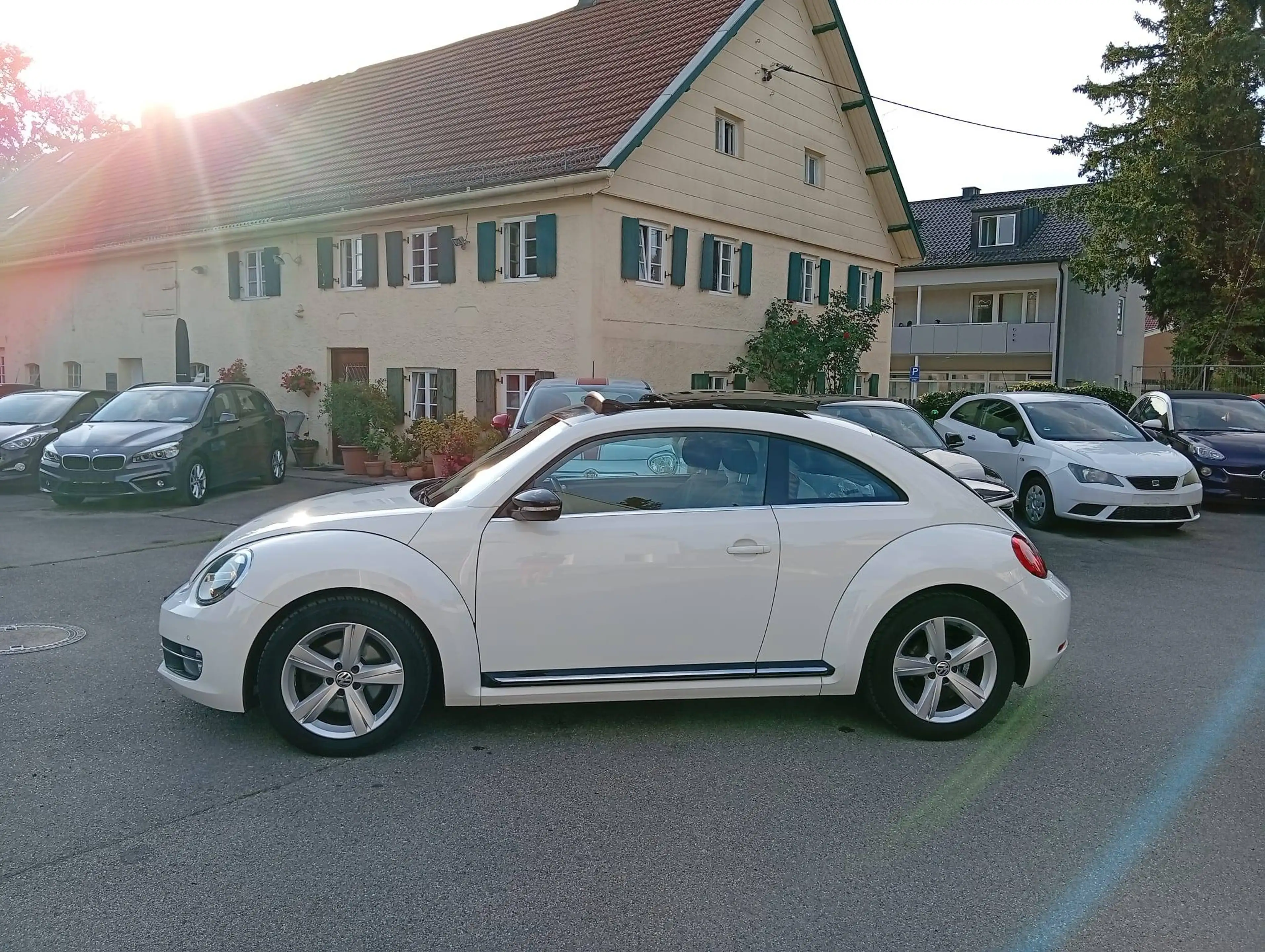 Volkswagen Beetle Sport — photo 6