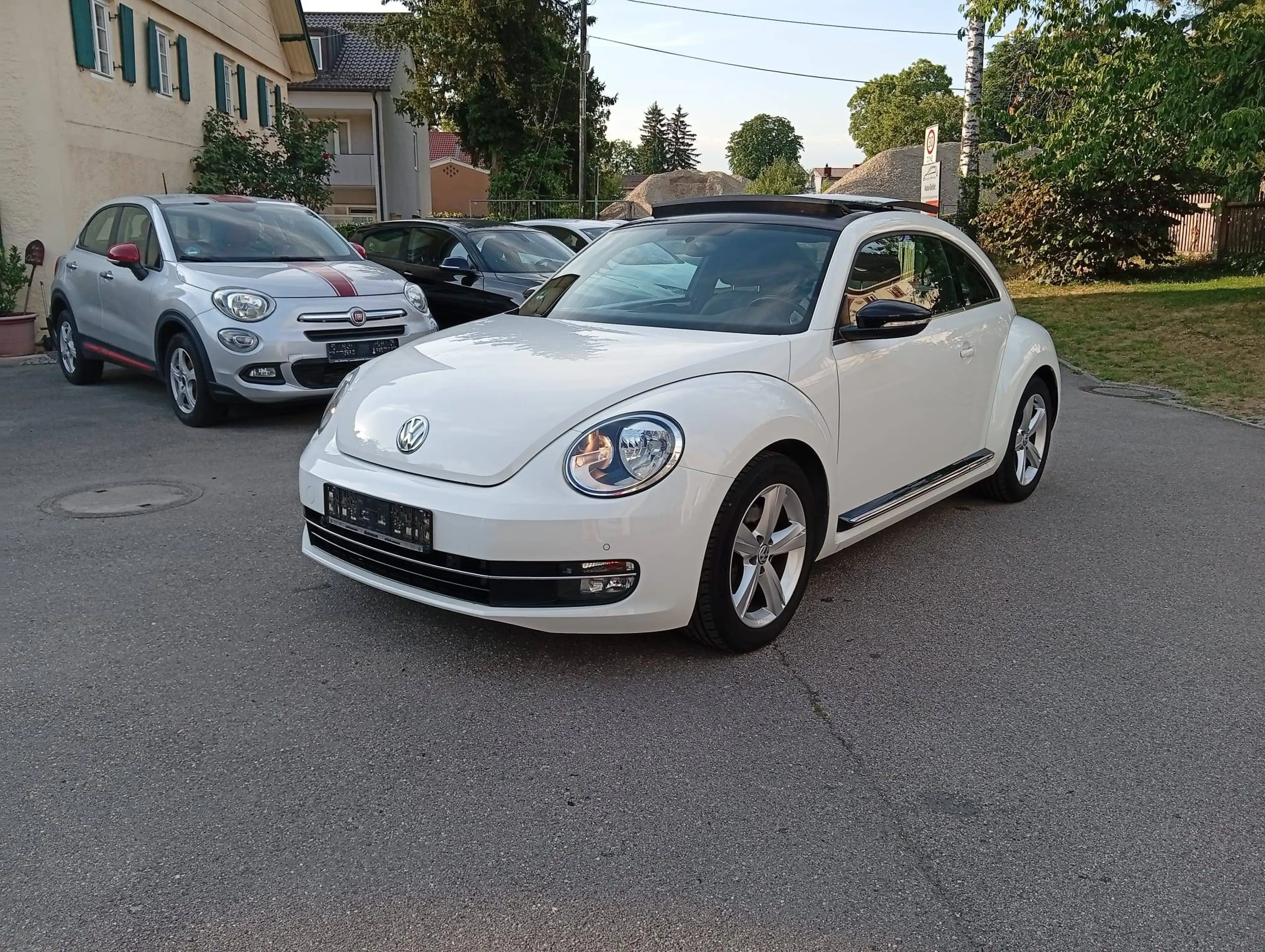 Volkswagen Beetle Sport — photo 4