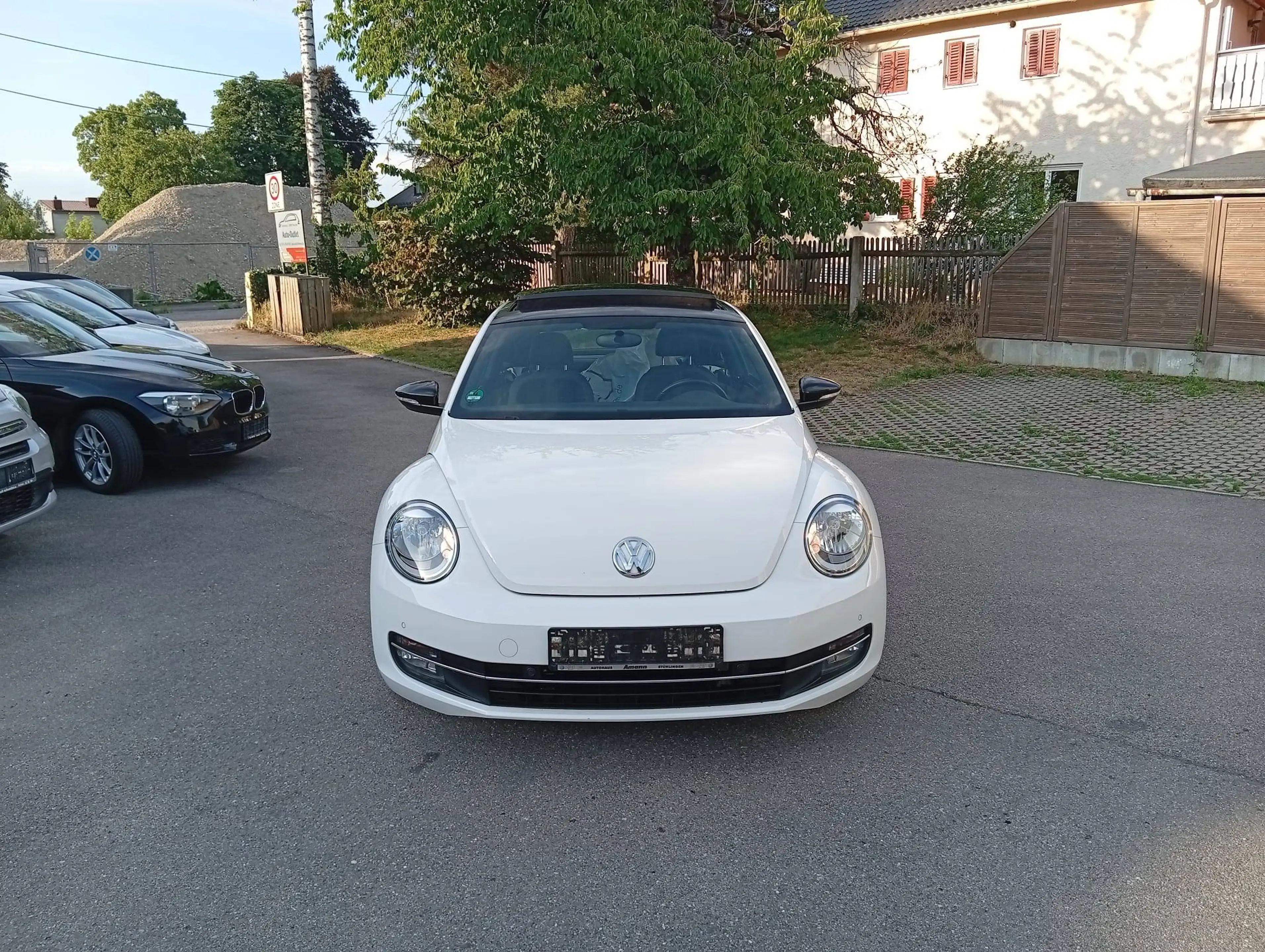 Volkswagen Beetle Sport — photo 3