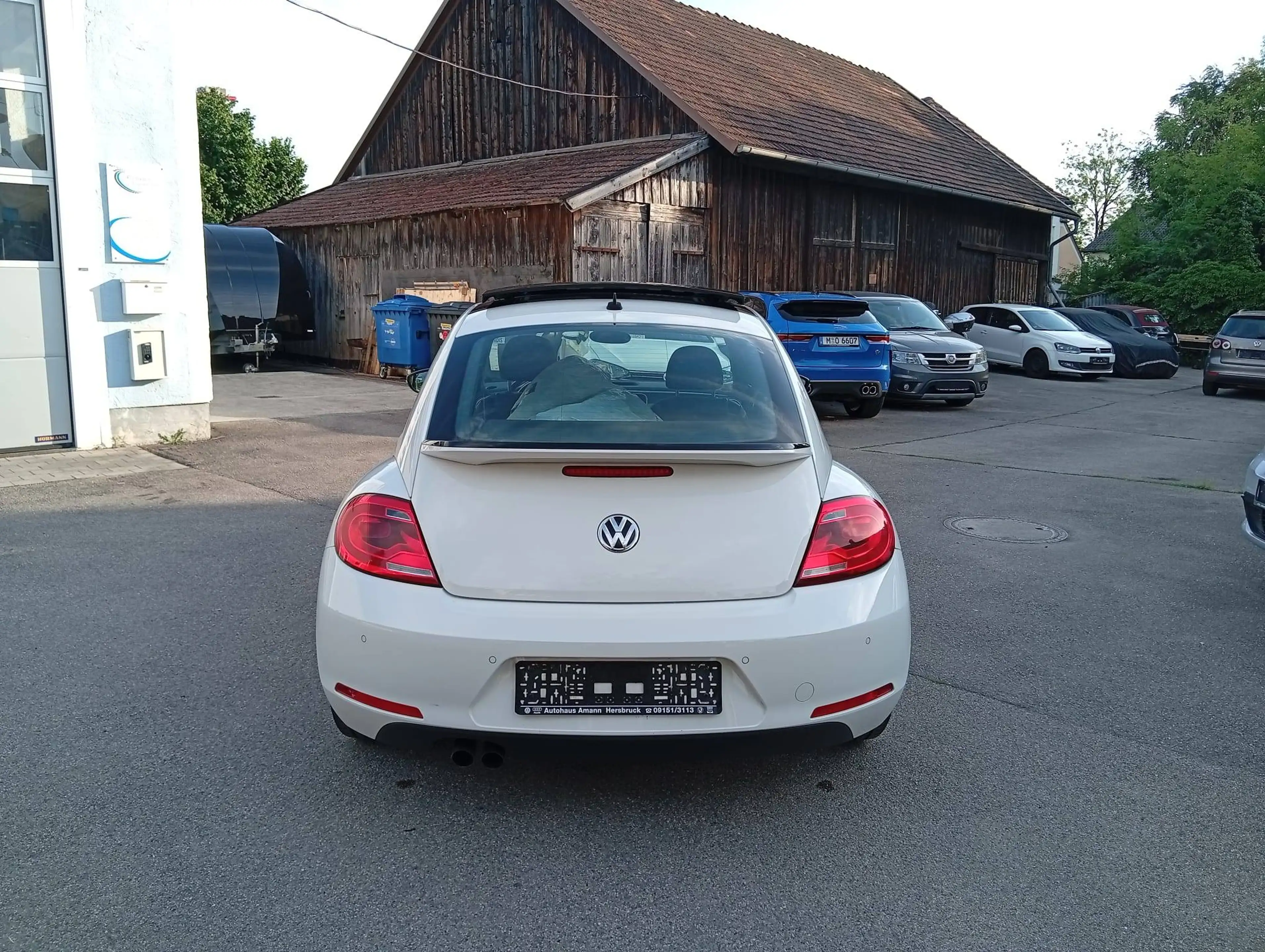 Volkswagen Beetle Sport — photo 8