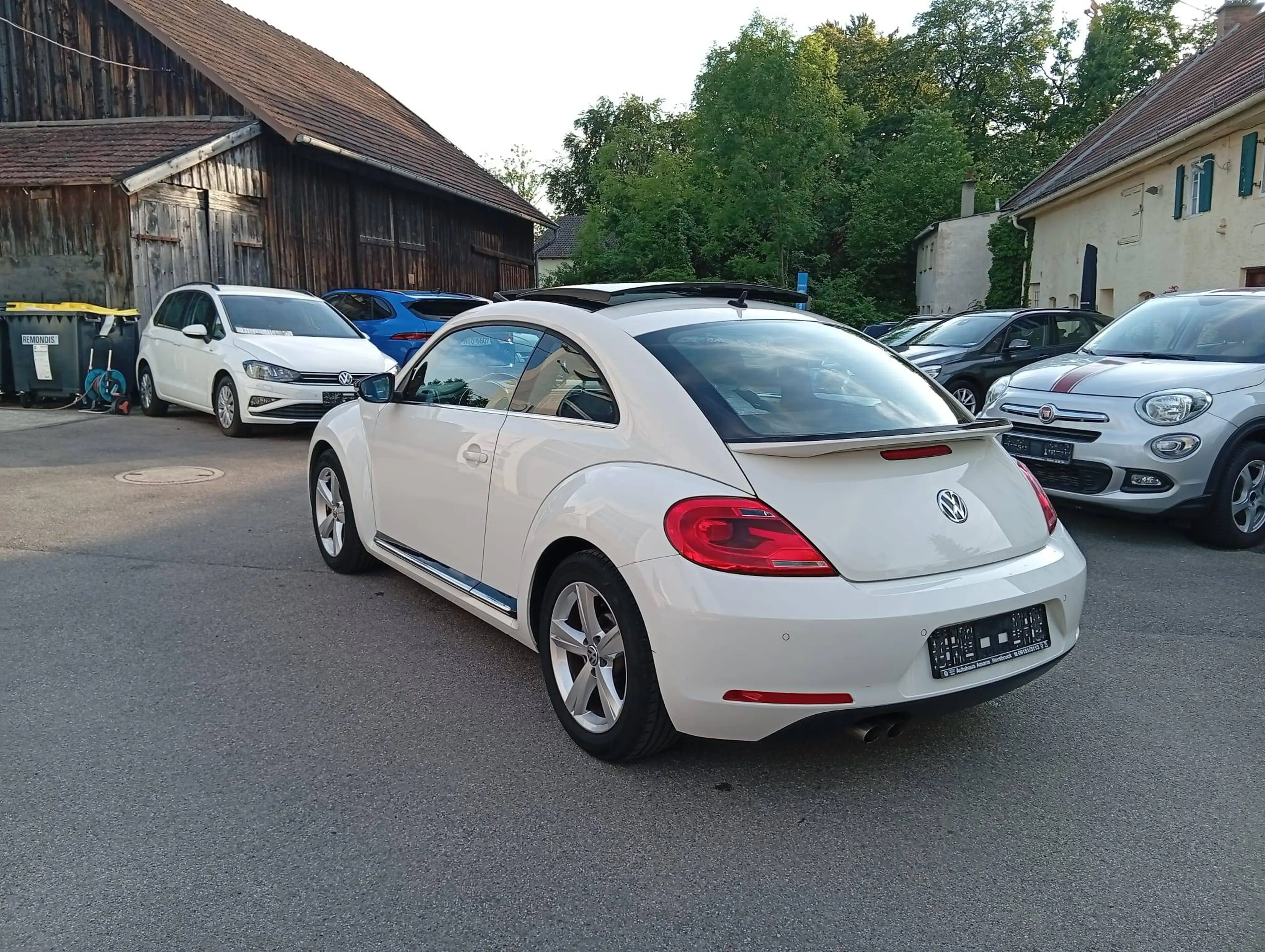 Volkswagen Beetle Sport — photo 7