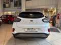 Ford Puma Puma II 2020 1.5 ecoblue Titanium Blanco - thumbnail 6