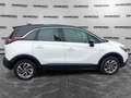 Opel Crossland X 1.2 GPL 81cv Innovation MT5 Weiß - thumbnail 7