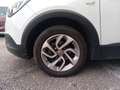 Opel Crossland X 1.2 GPL 81cv Innovation MT5 Weiß - thumbnail 21