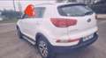Kia Sportage 1.7 CRDi 115 ISG 4x2 Business - thumbnail 5