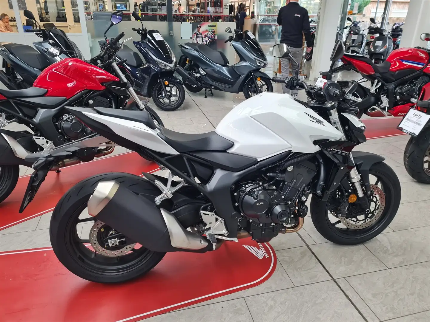 Honda Hornet Weiß - 2