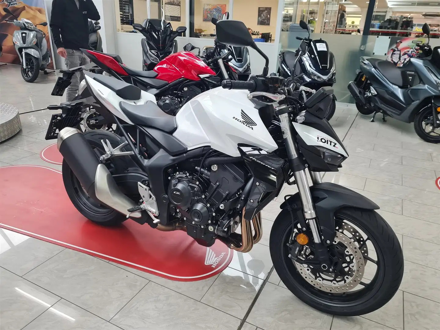 Honda Hornet Weiß - 1