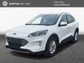 Ford Kuga 2.0 EcoBlue Aut. TITANIUM 88 kW, 5-türig (Die Weiß - thumbnail 1