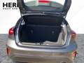Ford Focus Titanium 125 PS EcoBoost Winter-Paket Grau - thumbnail 6
