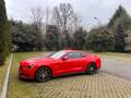 Ford Mustang Mustang Fastback 2.3 ecoboost 317cv Červená - thumbnail 6
