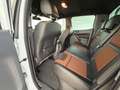 Ford Ranger Wildtrak Doppelkabine 4x4 RFK PFC Automat Weiß - thumbnail 12