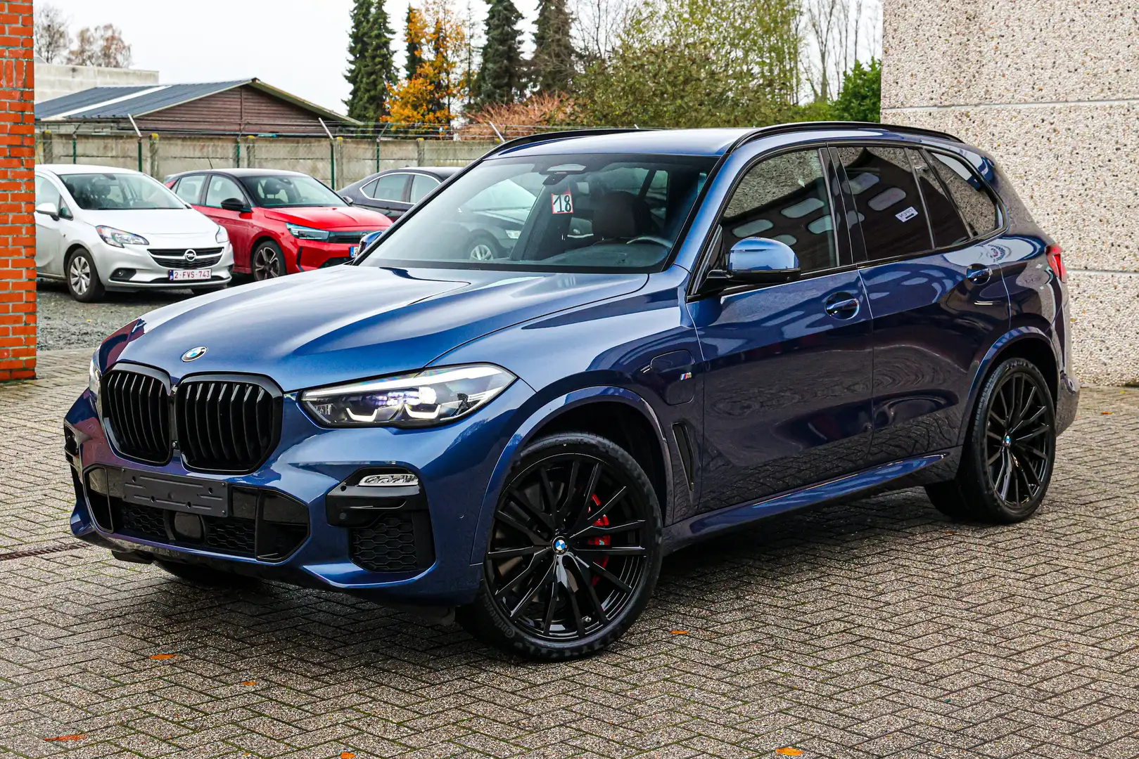 BMW X5 M-PAK*CHRYSTAL-POOK*ZETELVERW+VERKOELING*STUURVERW Blau - 1