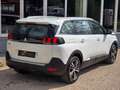 Peugeot 5008 Allure  1,5 BlueHDI 7 SITZER Aut. Weiß - thumbnail 14