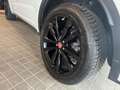 Jaguar E-Pace E-Pace 2.0D 150 CV AWD R-Dynamic S TETTO Wit - thumbnail 5