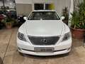 Lexus LS 460 V8 mit Luxusausstattung !MOTOR NEU! Weiß - thumbnail 3
