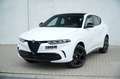 Alfa Romeo Tonale 1.3T PHEV 280 PK Tributo | Leder | Black Pack | 20 Wit - thumbnail 2