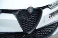 Alfa Romeo Tonale 1.3T PHEV 280 PK Tributo | Leder | Black Pack | 20 Wit - thumbnail 13