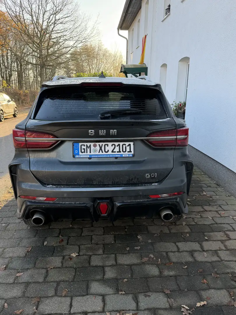 SWM G01F G01 F Grau - 2