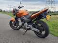 Honda CB 600 CB 600 F Hornet Oranje - thumbnail 13