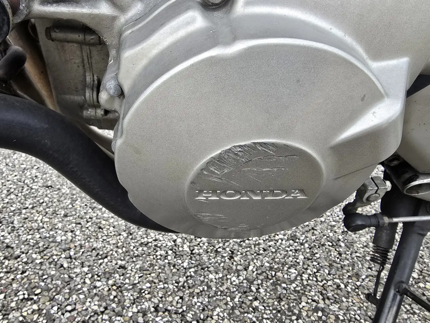 Honda CB 600 CB 600 F Hornet Oranje - 1