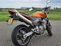 Honda CB 600 CB 600 F Hornet Oranje - thumbnail 11