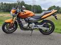 Honda CB 600 CB 600 F Hornet Oranje - thumbnail 14