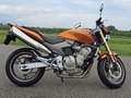 Honda CB 600 CB 600 F Hornet Oranje - thumbnail 10