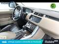 Land Rover Range Rover Sport 3.0TDV6 HSE Aut. Blanco - thumbnail 8