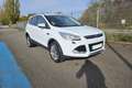 Ford Kuga Kuga Titanium 2.0 TDCI 140 4x2 Weiß - thumbnail 2