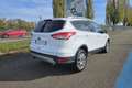 Ford Kuga Kuga Titanium 2.0 TDCI 140 4x2 Blanc - thumbnail 5