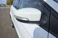 Ford Kuga Kuga Titanium 2.0 TDCI 140 4x2 Weiß - thumbnail 32