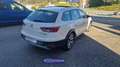 SEAT Leon 2.0TDI CR S&S 4D DSG6 184 Blanc - thumbnail 20