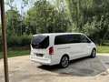Mercedes-Benz V 250 Classe V 250 190CV 9G-Tronic EXCLUSIVE Blanc - thumbnail 18