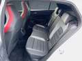 Volkswagen Golf GTI Clubsport Akrapovic/Pano/DCC/h&k/Kam/19 Weiß - thumbnail 12