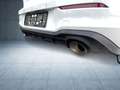 Volkswagen Golf GTI Clubsport Akrapovic/Pano/DCC/h&k/Kam/19 Weiß - thumbnail 14