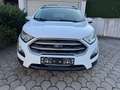 Ford EcoSport AUTOMATIK *TÜV & Service NEU*PDC*SHZ* Weiß - thumbnail 8
